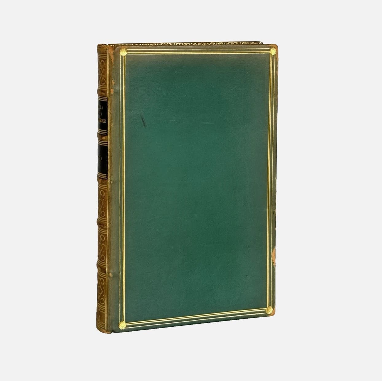 The Vita Nuova and Canzoniere